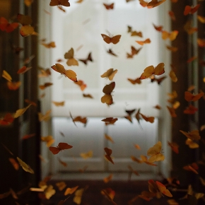 Immagine per la categoria FANTASTIC WORLD