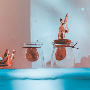 Immagine per la categoria SOUVENIRS